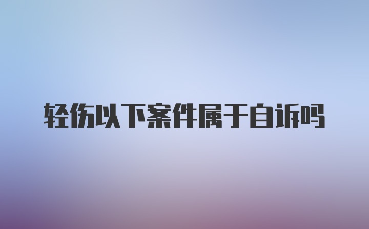 轻伤以下案件属于自诉吗