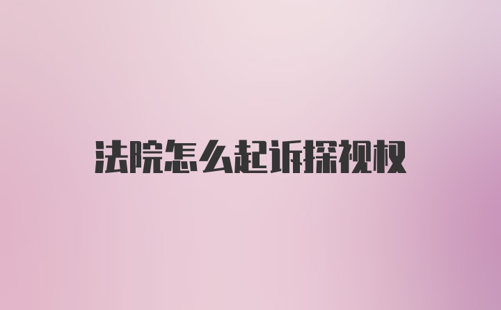 法院怎么起诉探视权