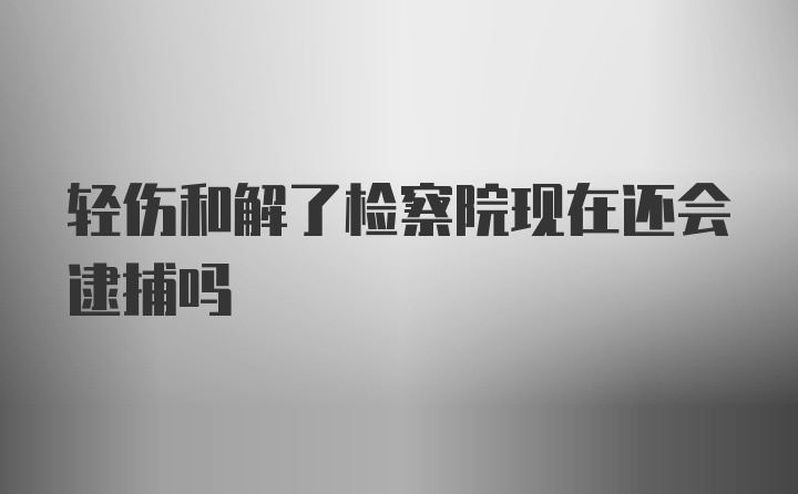 轻伤和解了检察院现在还会逮捕吗