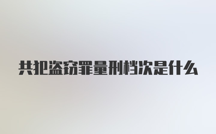 共犯盗窃罪量刑档次是什么