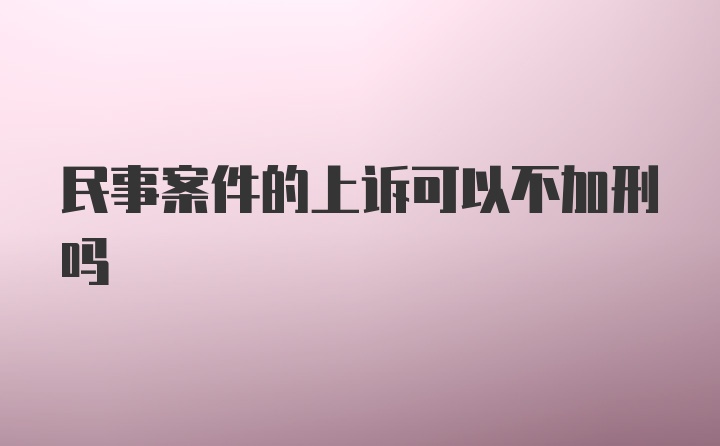 民事案件的上诉可以不加刑吗