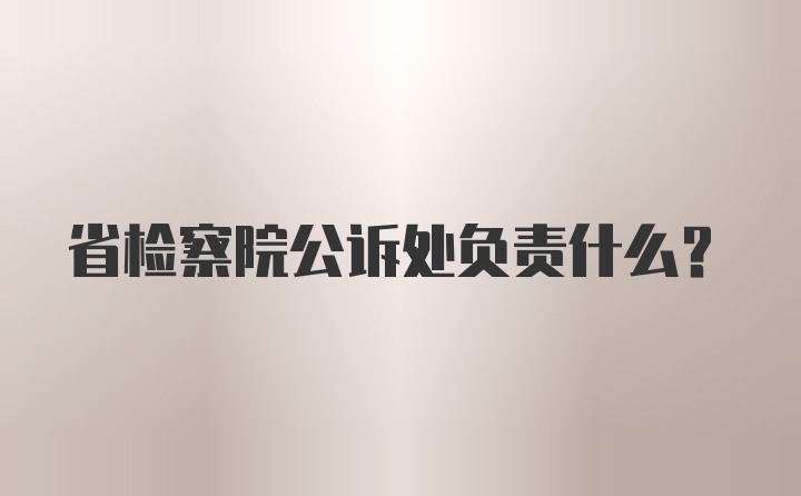 省检察院公诉处负责什么？