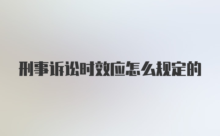 刑事诉讼时效应怎么规定的