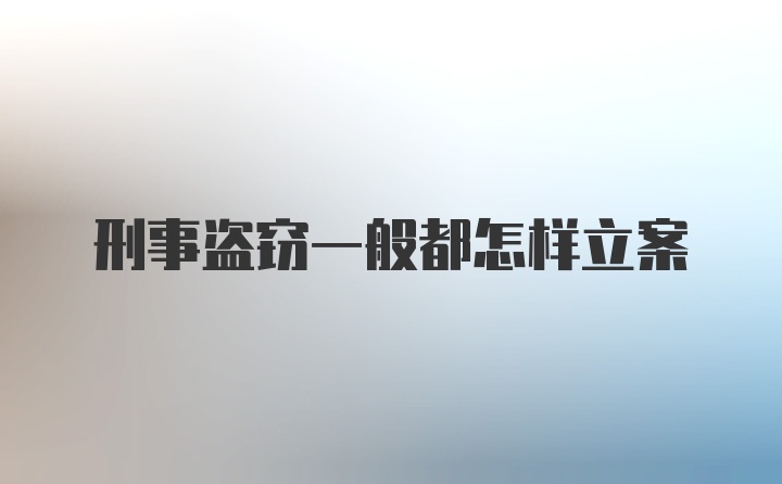 刑事盗窃一般都怎样立案