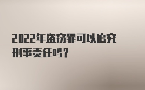 2022年盗窃罪可以追究刑事责任吗?