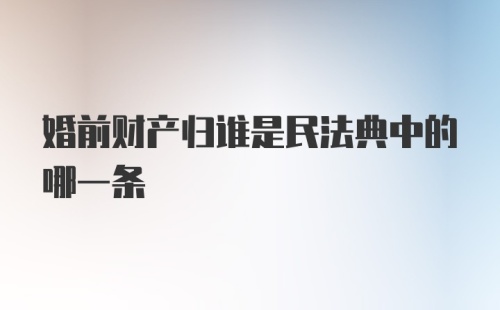 婚前财产归谁是民法典中的哪一条