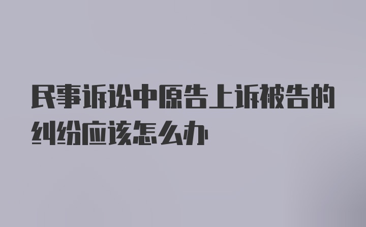 民事诉讼中原告上诉被告的纠纷应该怎么办