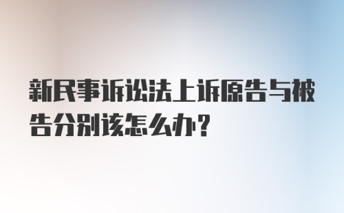 新民事诉讼法上诉原告与被告分别该怎么办?