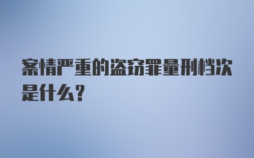 案情严重的盗窃罪量刑档次是什么？