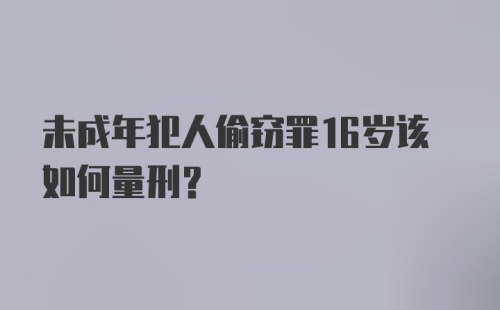 未成年犯人偷窃罪16岁该如何量刑？