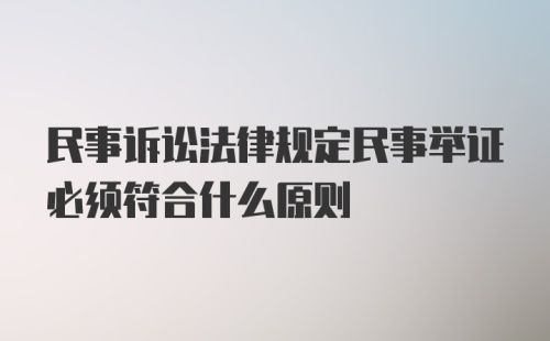 民事诉讼法律规定民事举证必须符合什么原则