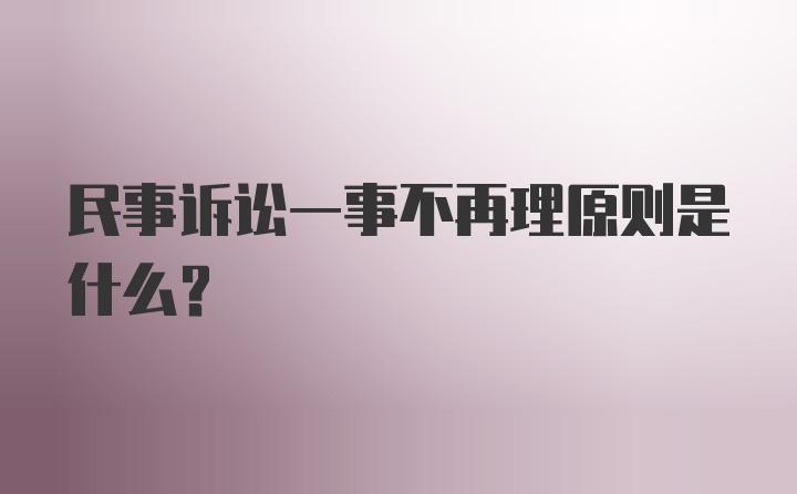 民事诉讼一事不再理原则是什么？