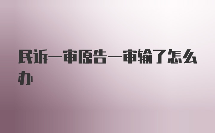 民诉一审原告一审输了怎么办