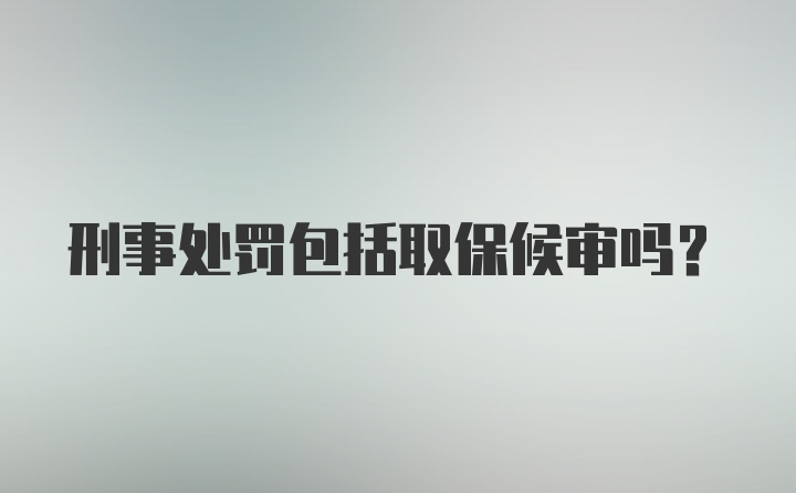 刑事处罚包括取保候审吗？