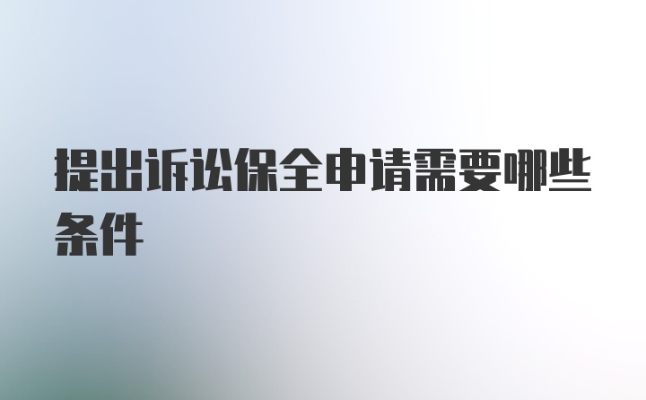 提出诉讼保全申请需要哪些条件