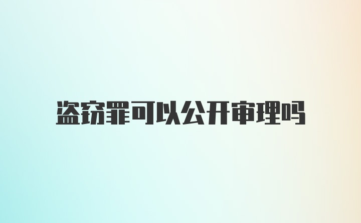 盗窃罪可以公开审理吗