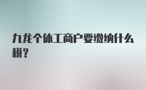 九龙个体工商户要缴纳什么税？