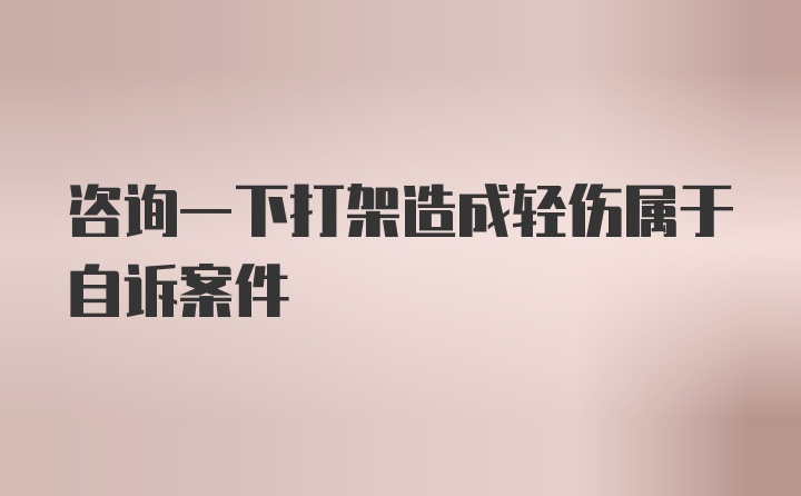 咨询一下打架造成轻伤属于自诉案件