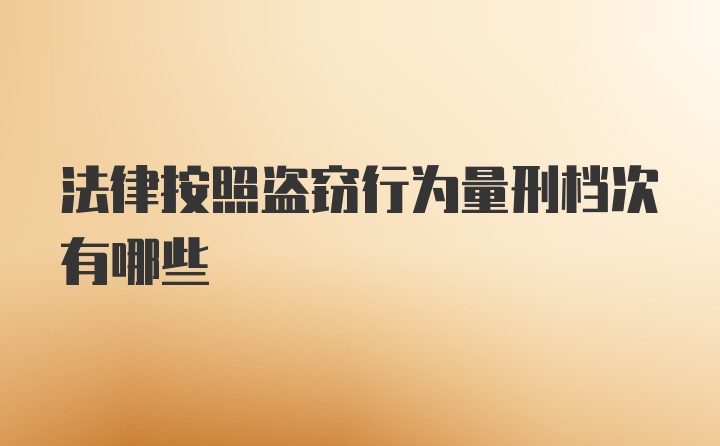 法律按照盗窃行为量刑档次有哪些