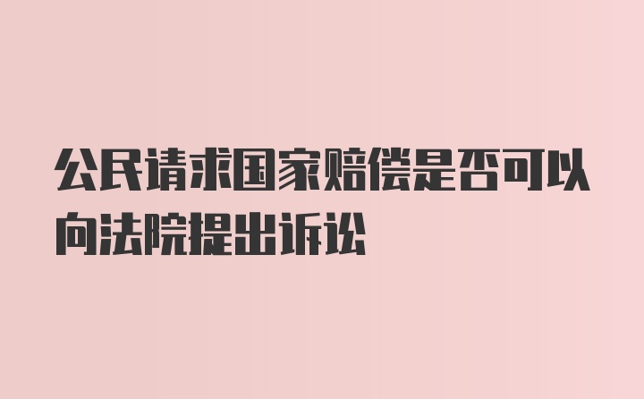 公民请求国家赔偿是否可以向法院提出诉讼