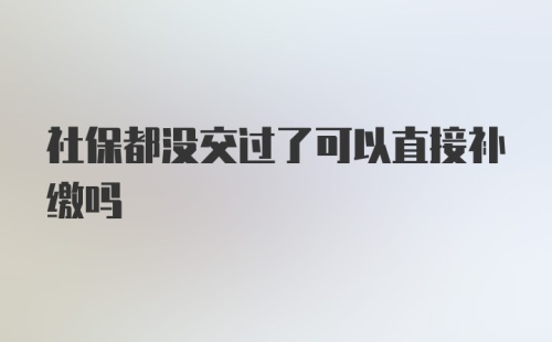 社保都没交过了可以直接补缴吗