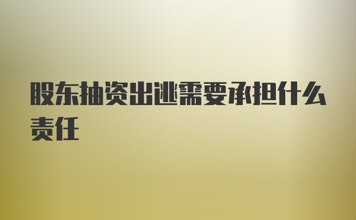 股东抽资出逃需要承担什么责任