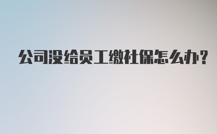 公司没给员工缴社保怎么办?