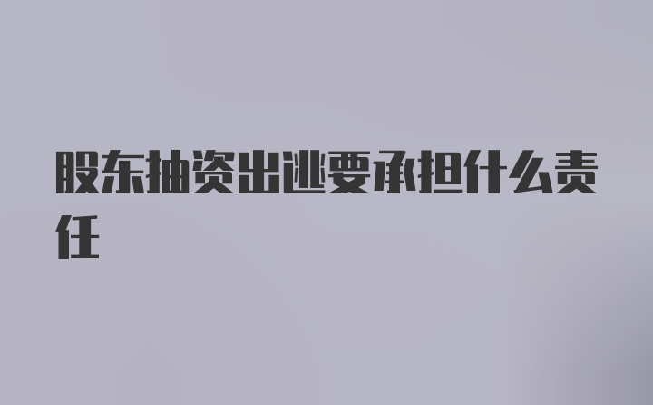 股东抽资出逃要承担什么责任