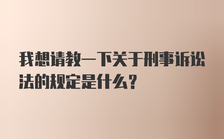 我想请教一下关于刑事诉讼法的规定是什么？