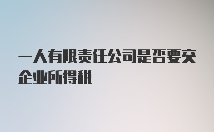 一人有限责任公司是否要交企业所得税