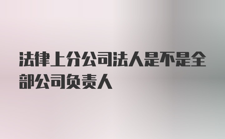 法律上分公司法人是不是全部公司负责人