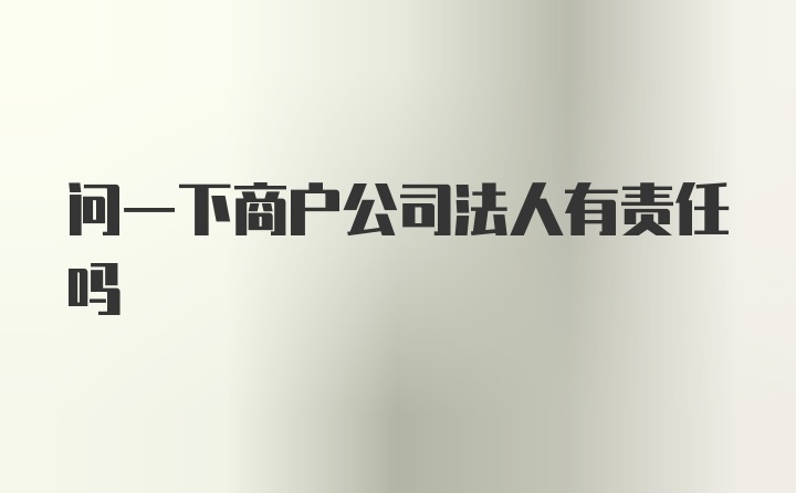 问一下商户公司法人有责任吗