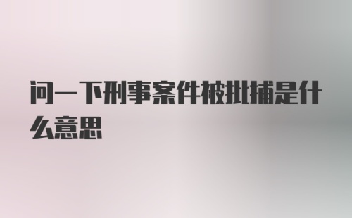 问一下刑事案件被批捕是什么意思