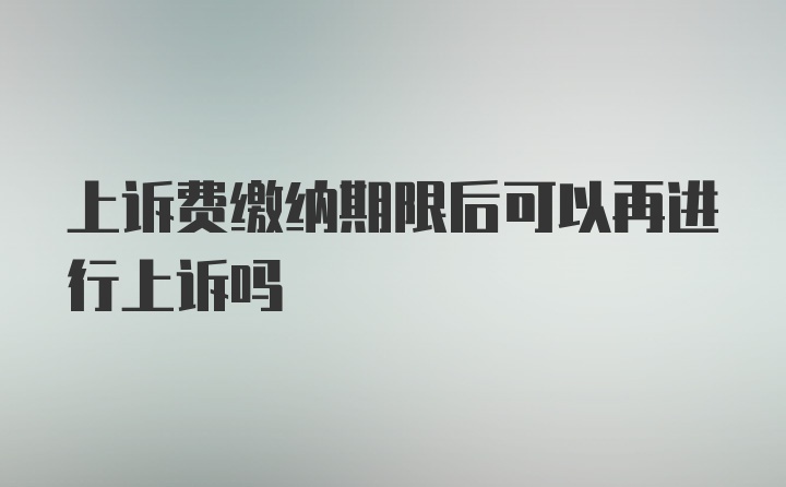 上诉费缴纳期限后可以再进行上诉吗