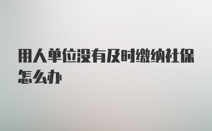 用人单位没有及时缴纳社保怎么办