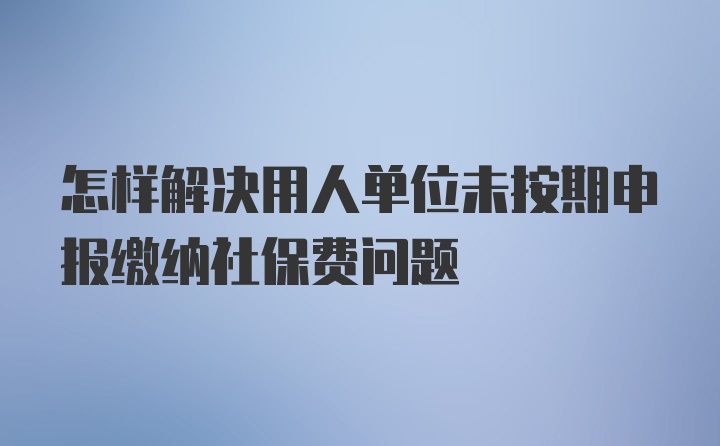 怎样解决用人单位未按期申报缴纳社保费问题