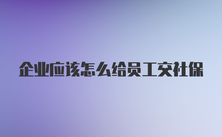 企业应该怎么给员工交社保