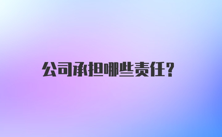 公司承担哪些责任？