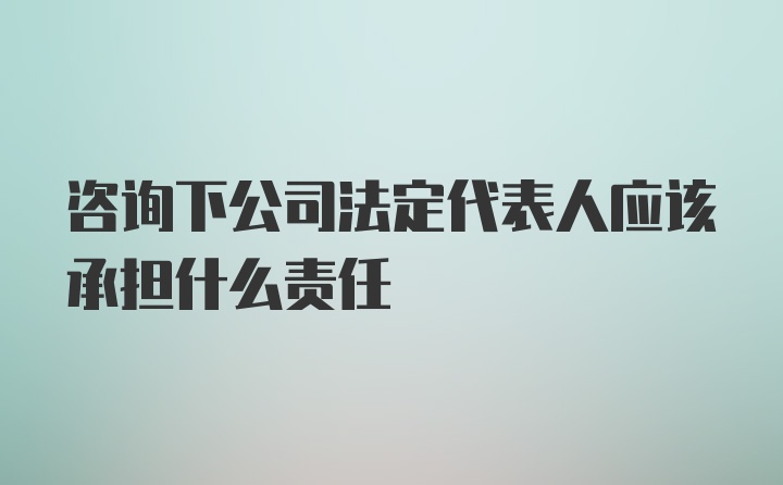 咨询下公司法定代表人应该承担什么责任