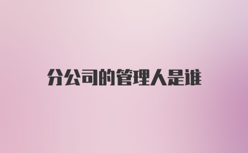 分公司的管理人是谁