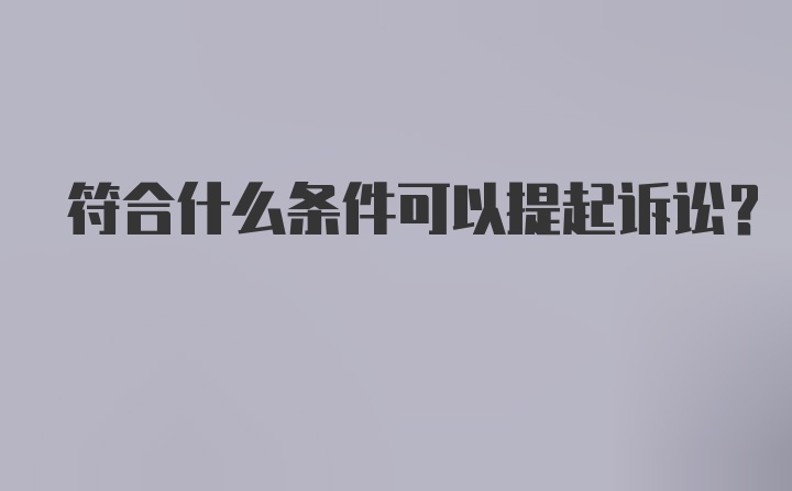 符合什么条件可以提起诉讼？