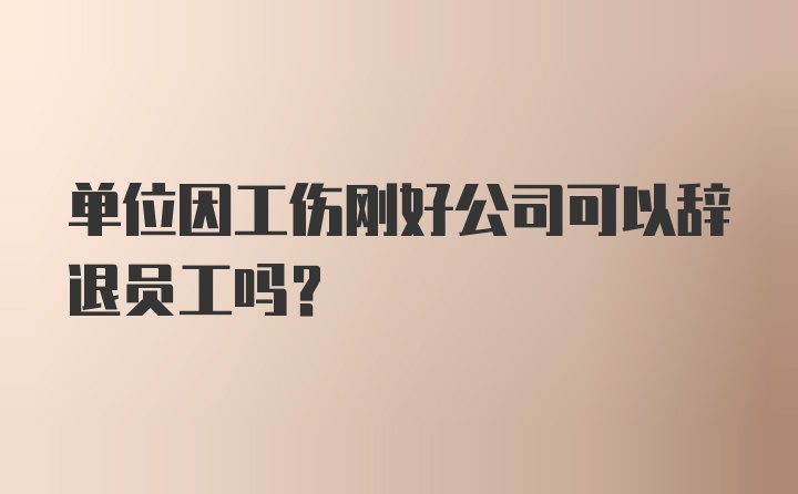 单位因工伤刚好公司可以辞退员工吗？