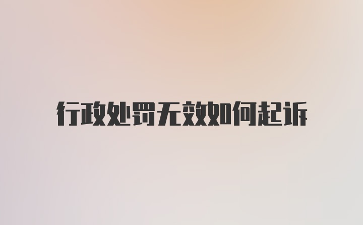 行政处罚无效如何起诉