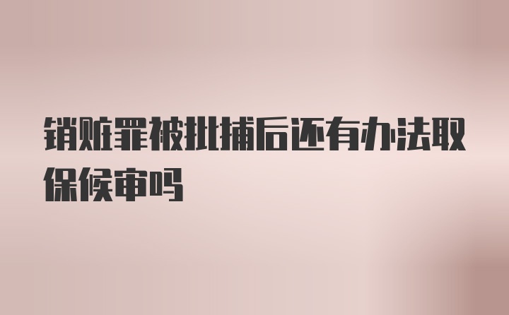 销赃罪被批捕后还有办法取保候审吗