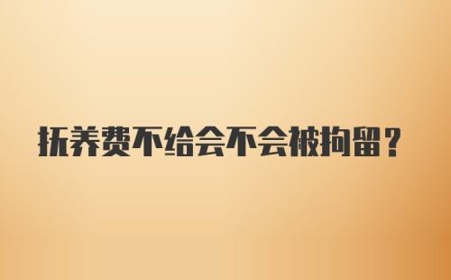 抚养费不给会不会被拘留?