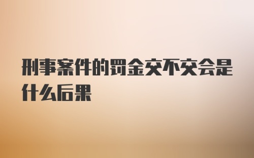 刑事案件的罚金交不交会是什么后果