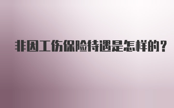 非因工伤保险待遇是怎样的?