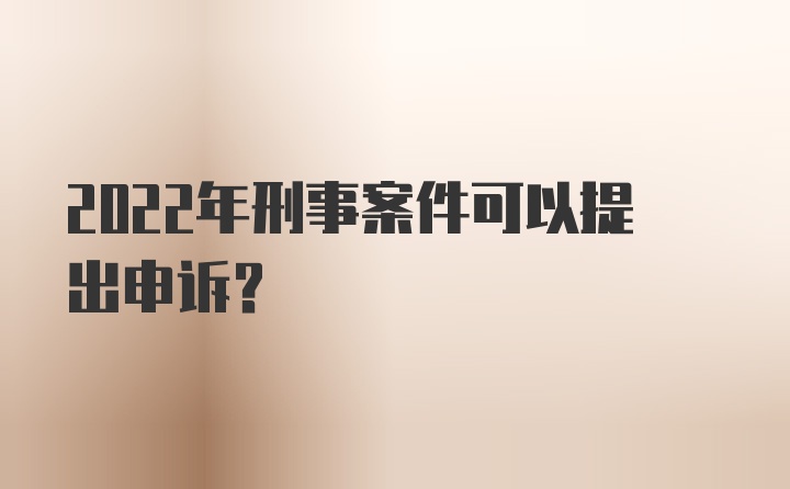 2022年刑事案件可以提出申诉？