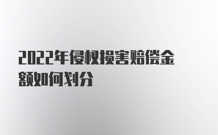 2022年侵权损害赔偿金额如何划分