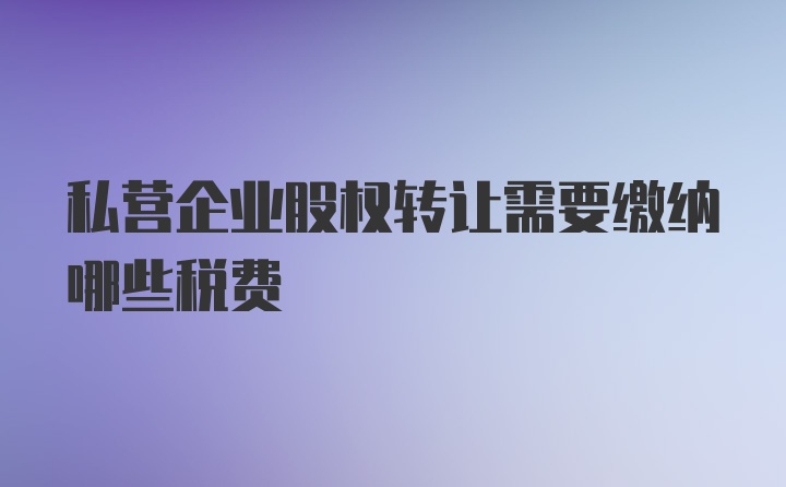 私营企业股权转让需要缴纳哪些税费